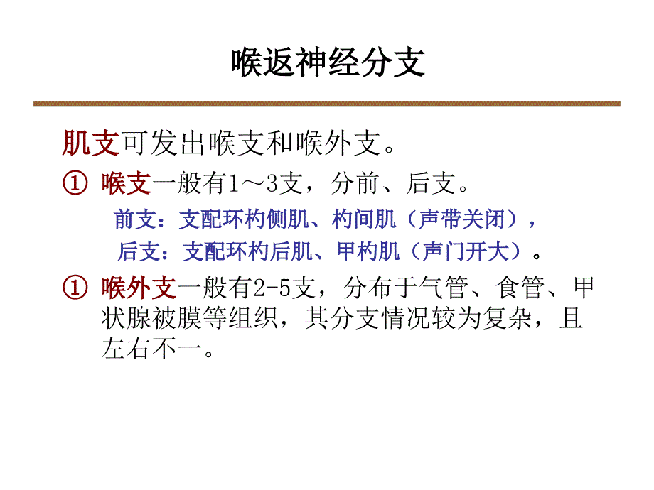 喉返神经解剖技术外科进展课件_第4页