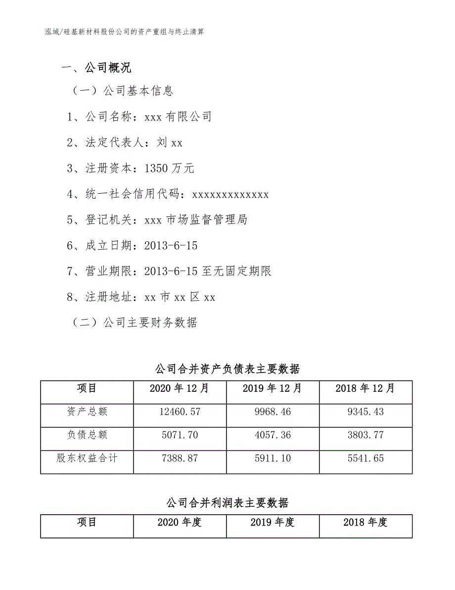 硅基新材料股份公司的资产重组与终止清算_第3页