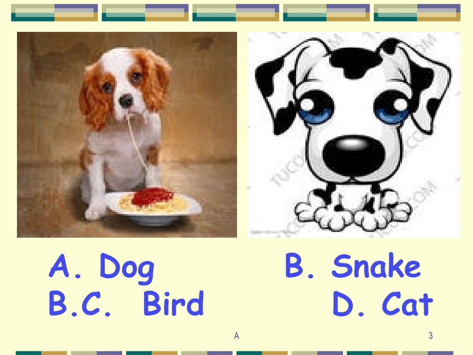 小学英语分类单词（动物类）课件_第3页