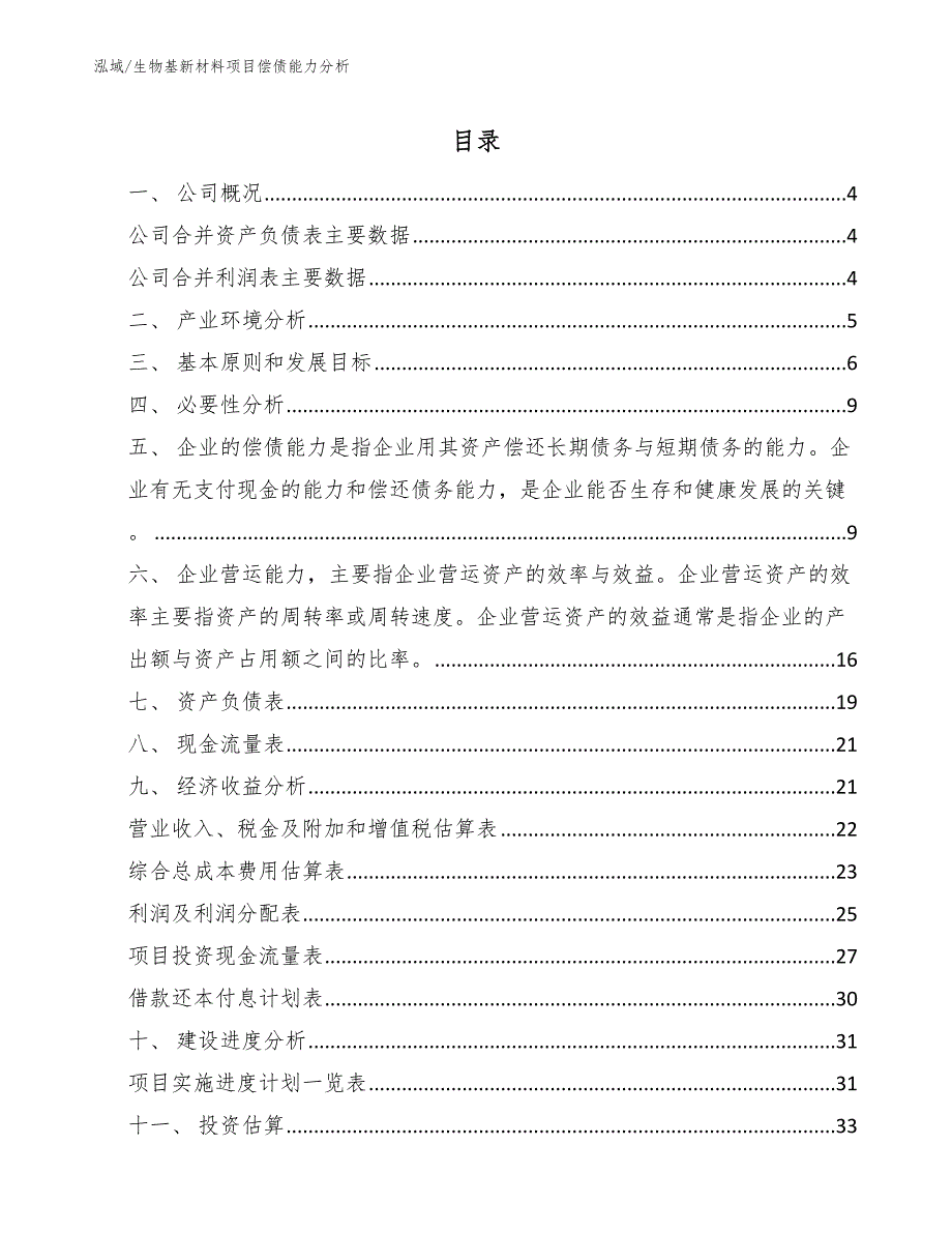 生物基新材料项目偿债能力分析_参考_第2页