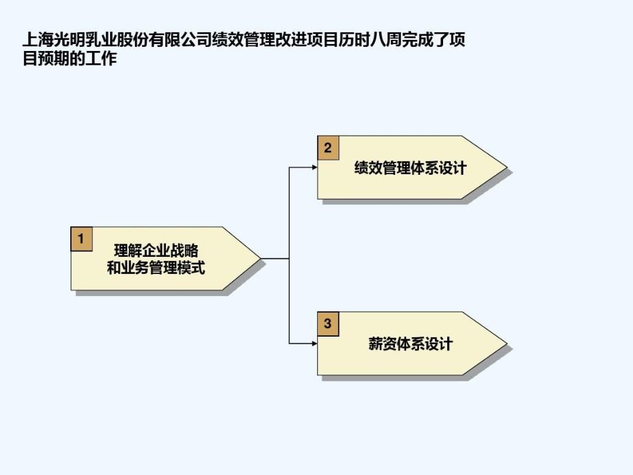 公司绩效管理项目实施方案课件_第4页