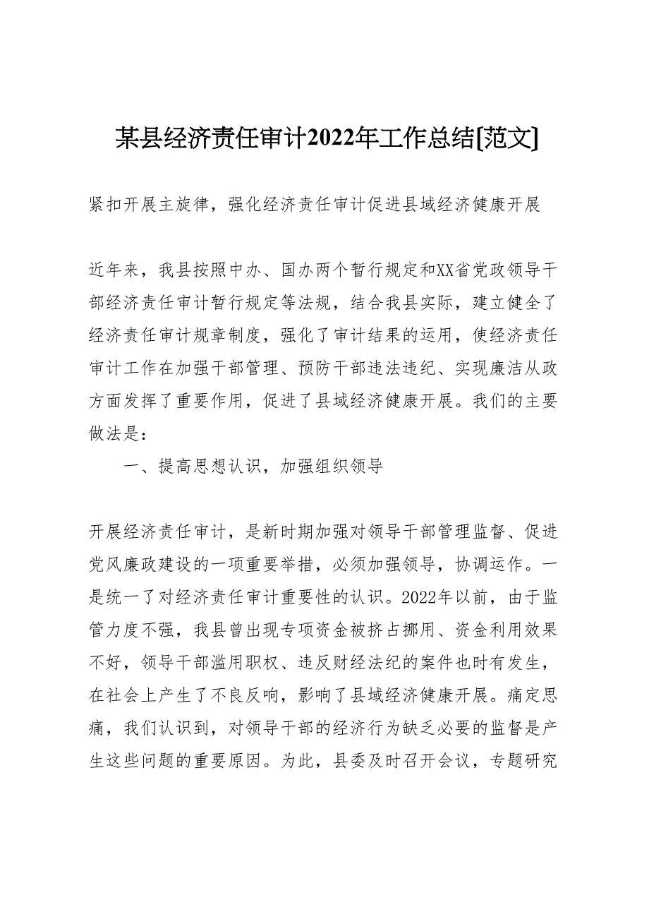 2022年x县经济责任审计工作总结_第1页