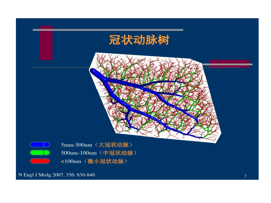 冠状动脉微血管病变与对策课件_第3页