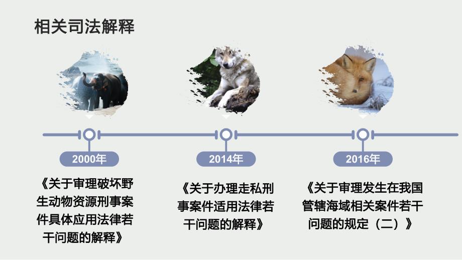 2022年《关于办理破坏野生动物资源刑事案件适用法律若干问题的解释》解读--1_第4页