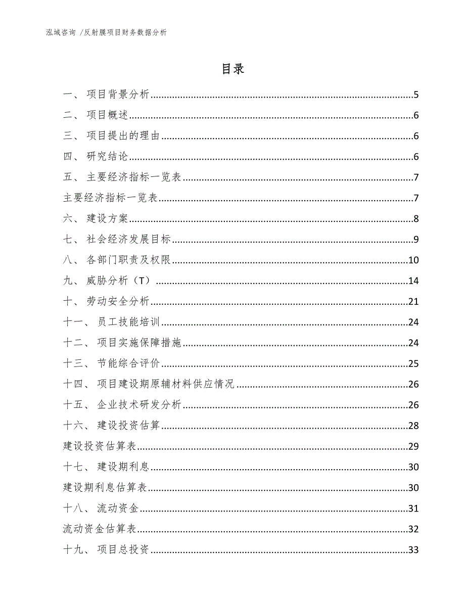 反射膜项目财务数据分析【范文模板】_第2页