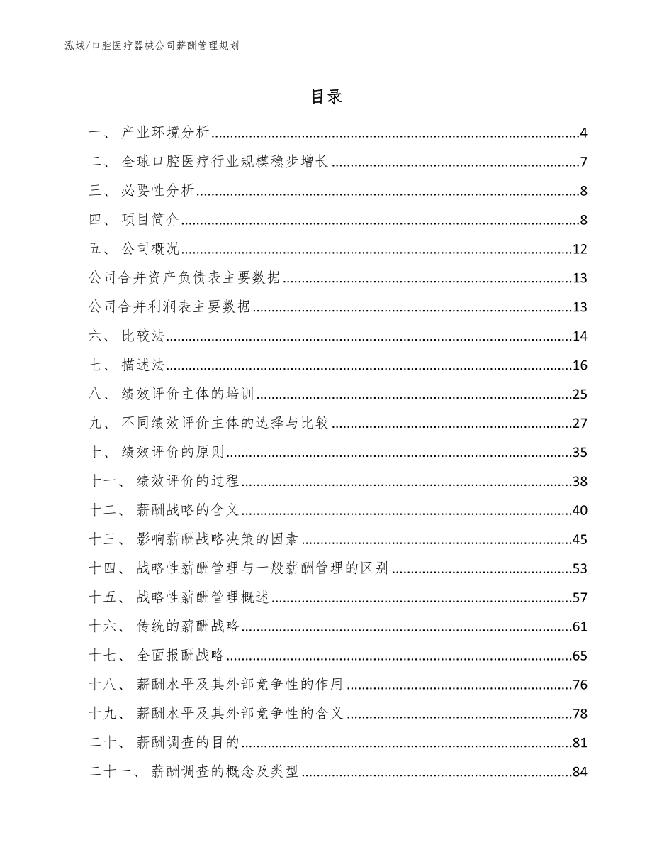 口腔医疗器械公司薪酬管理规划（范文）_第2页