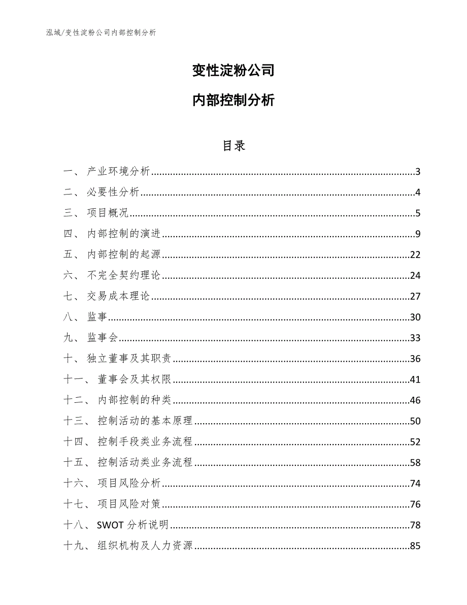 变性淀粉公司内部控制分析_第1页