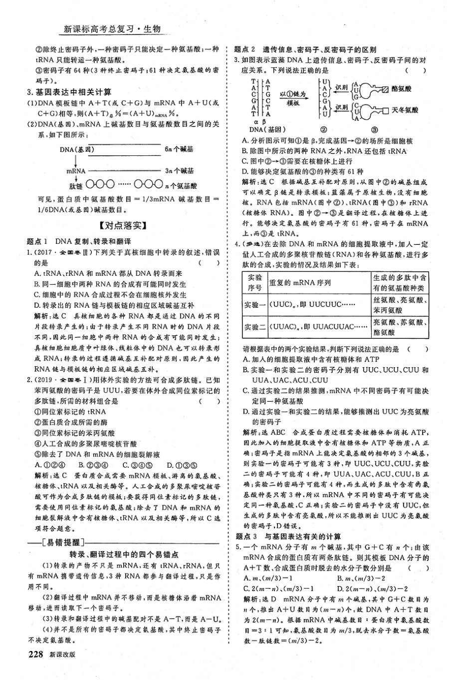 2021年高考生物一轮复习第6单元基因的本质与表达概述第3讲基因的表达考点1遗传信息的转录和翻译教案PDF_第3页