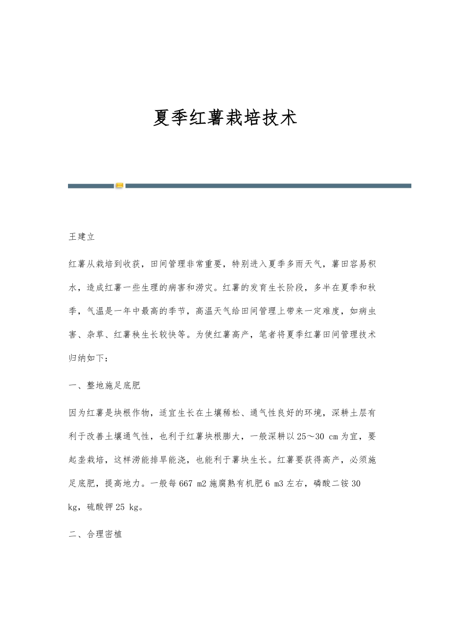 夏季红薯栽培技术_第1页
