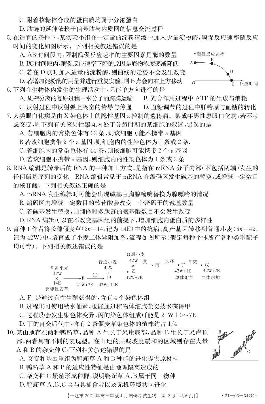 湖北省十堰市2021届高三生物下学期4月调研考试试题PDF_第2页