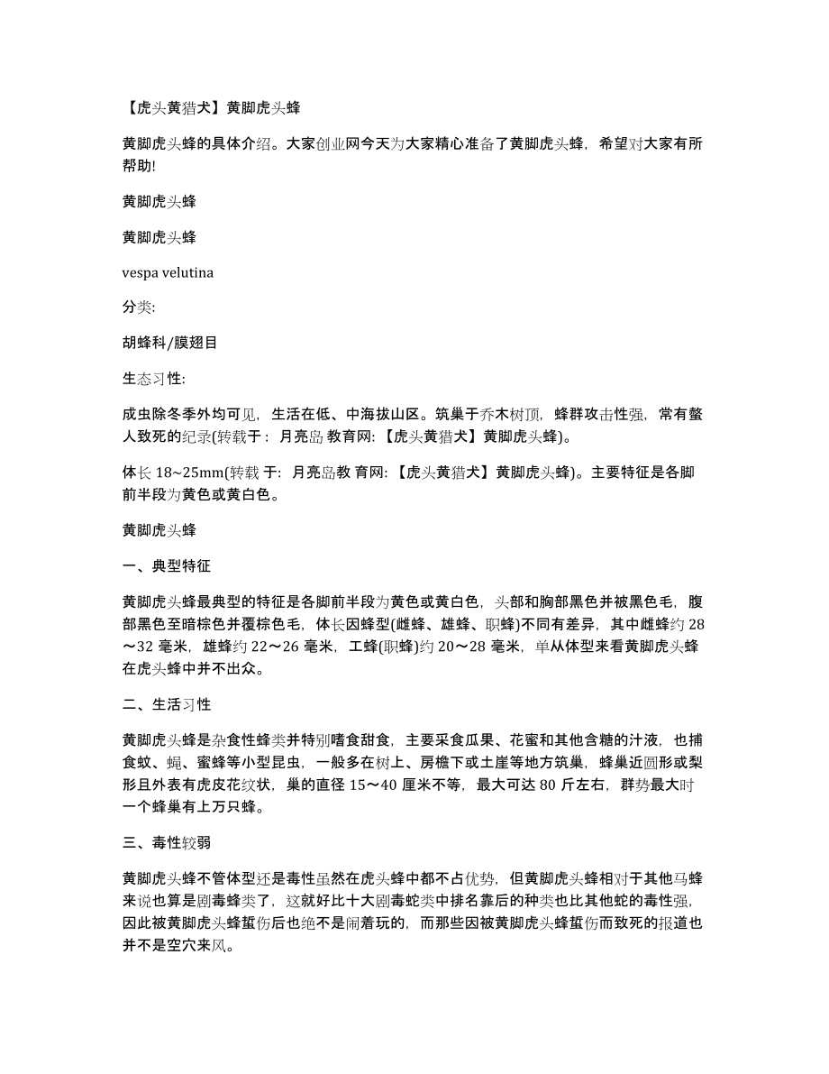 虎头黄猎犬黄脚虎头蜂_第1页