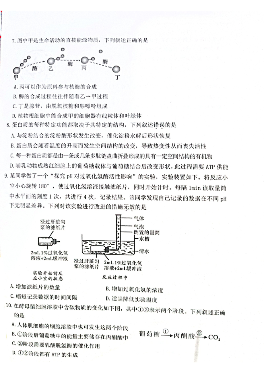 浙江省湖州中学2020_2021学年高二生物上学期期末调研测试试题PDF_第2页