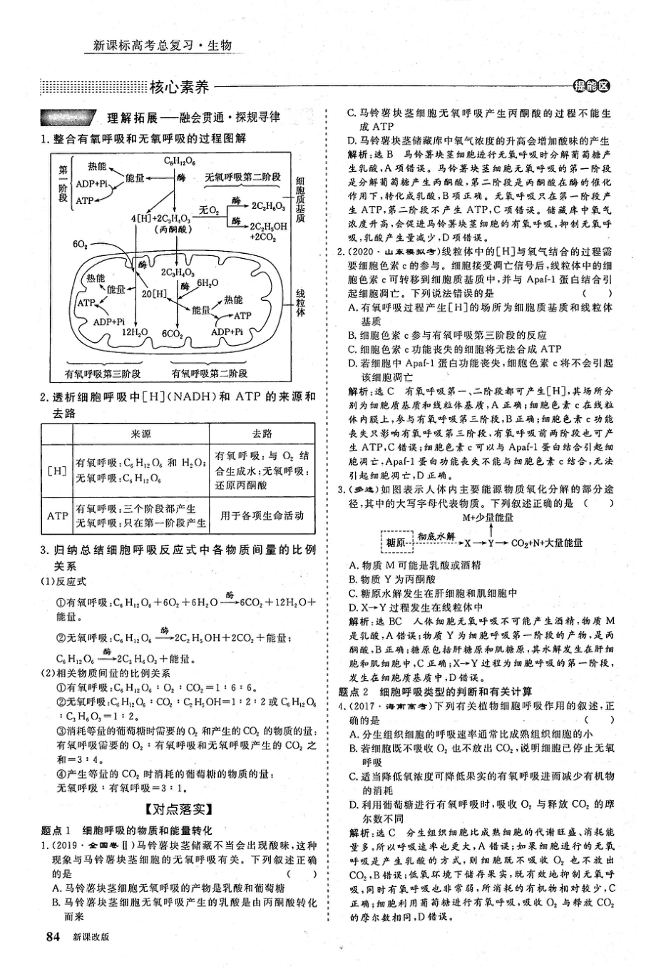 2021年高考生物一轮复习第3单元细胞的能量供应和利用第2讲ATP与细胞呼吸考点2细胞呼吸的过程及影响因素教案PDF_第2页