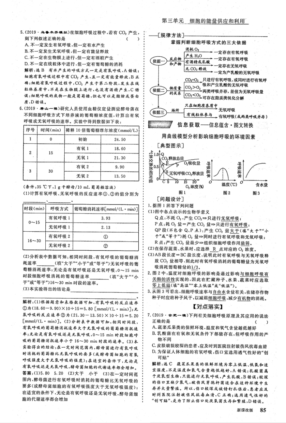 2021年高考生物一轮复习第3单元细胞的能量供应和利用第2讲ATP与细胞呼吸考点2细胞呼吸的过程及影响因素教案PDF_第3页