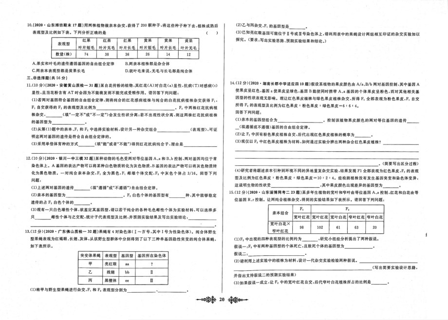 高中生物全国名校名卷优化重组专题10遗传的基本定律2无答案PDF_第2页