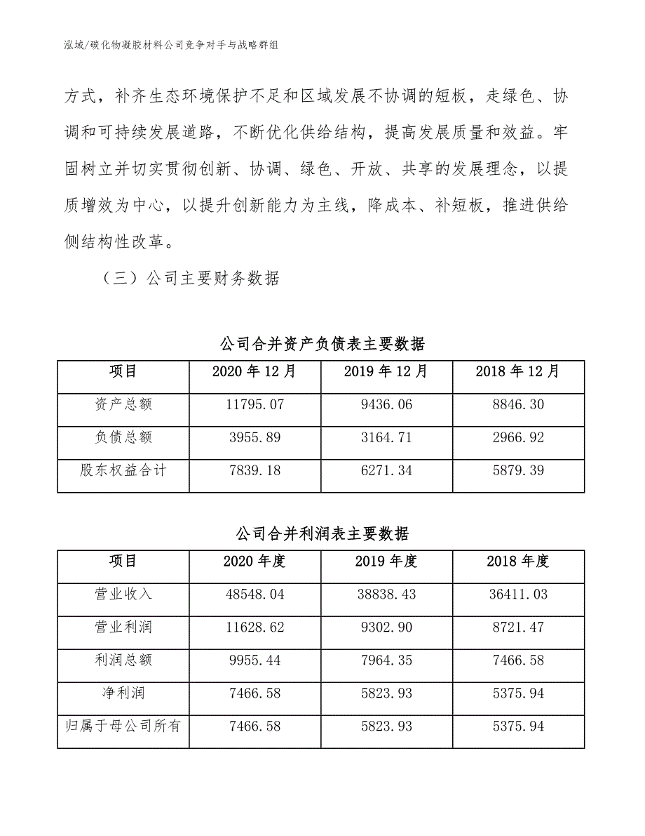 碳化物凝胶材料公司竞争对手与战略群组（范文）_第4页