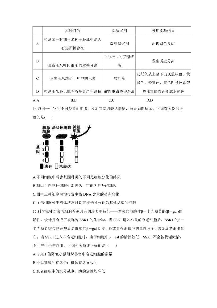 河南省名校联盟2020_2021学年高一生物下学期开学考试试题PDF_第5页