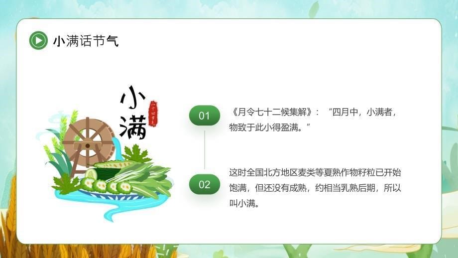 绿色卡通风中国传统二十四节气之小满PPT模板_第5页