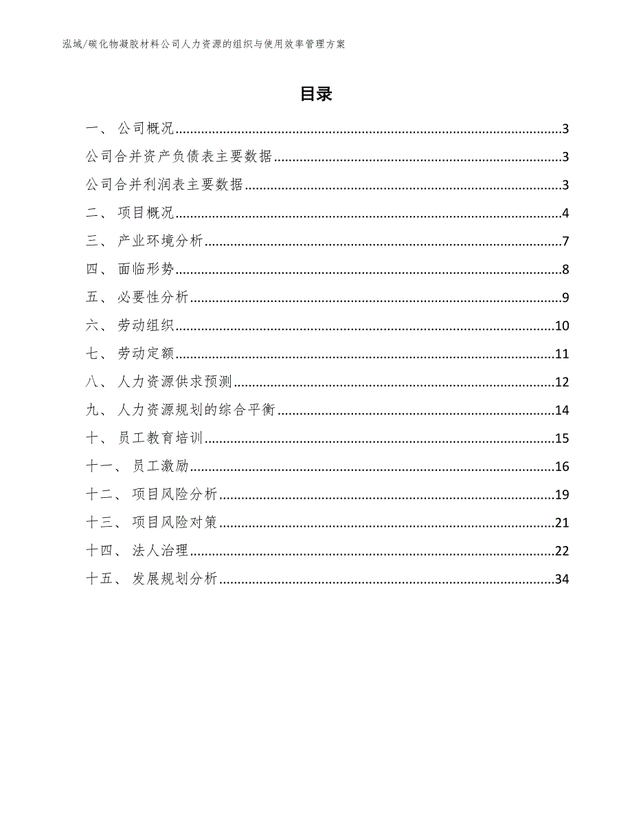 碳化物凝胶材料公司人力资源的组织与使用效率管理方案（参考）_第2页