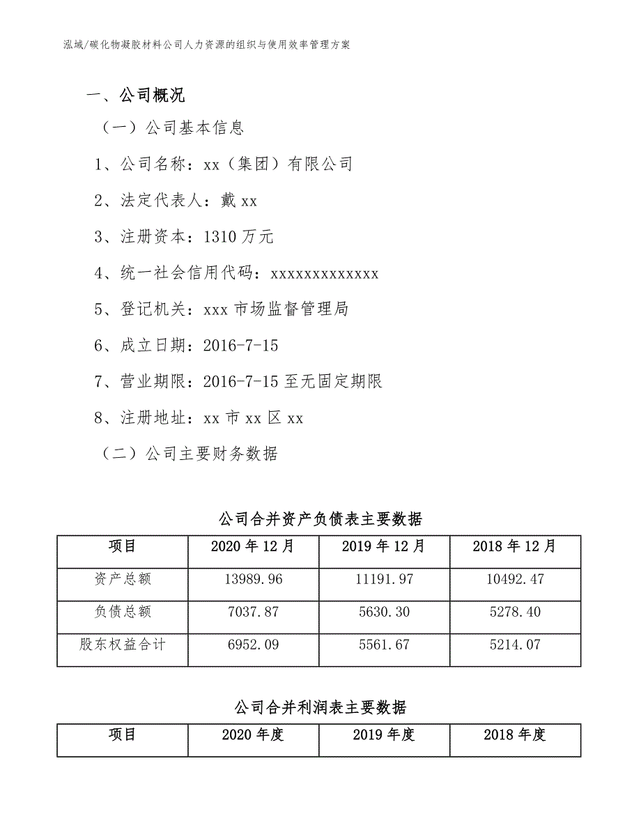 碳化物凝胶材料公司人力资源的组织与使用效率管理方案（参考）_第3页