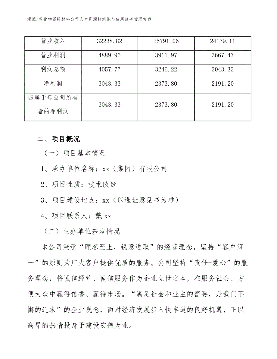 碳化物凝胶材料公司人力资源的组织与使用效率管理方案（参考）_第4页