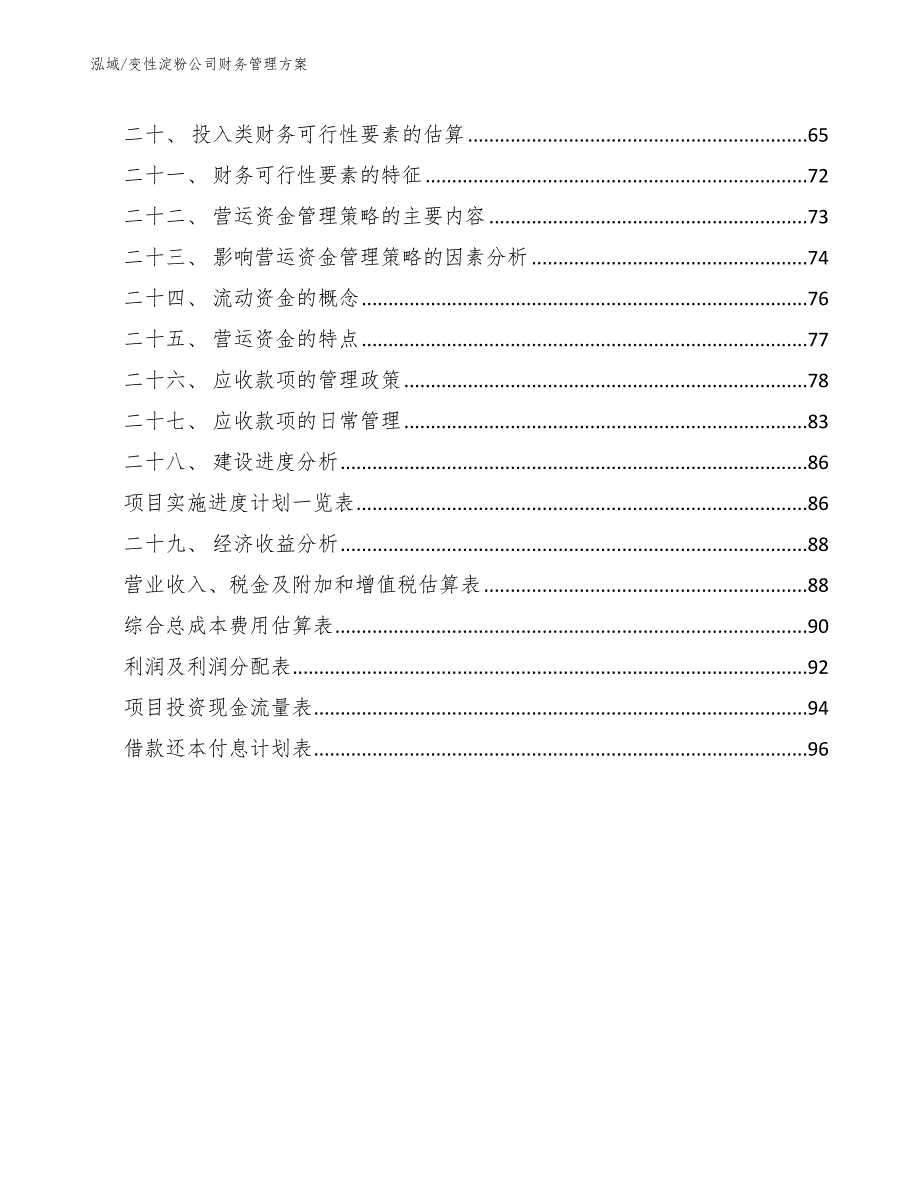 变性淀粉公司财务管理方案（参考）_第2页