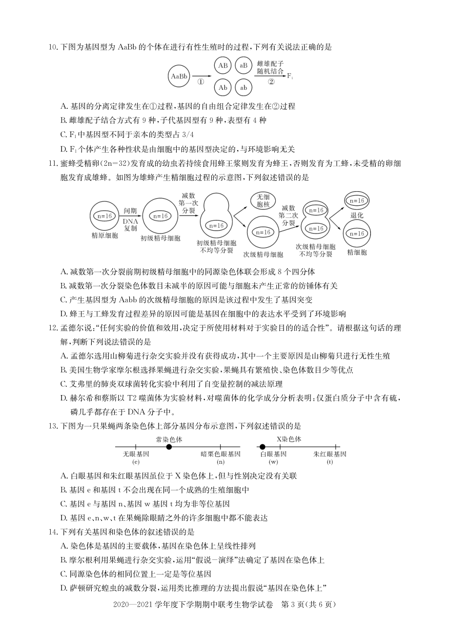 湖北省武汉市部分重点中学2020_2021学年高一生物下学期期中联考试题PDF_第3页