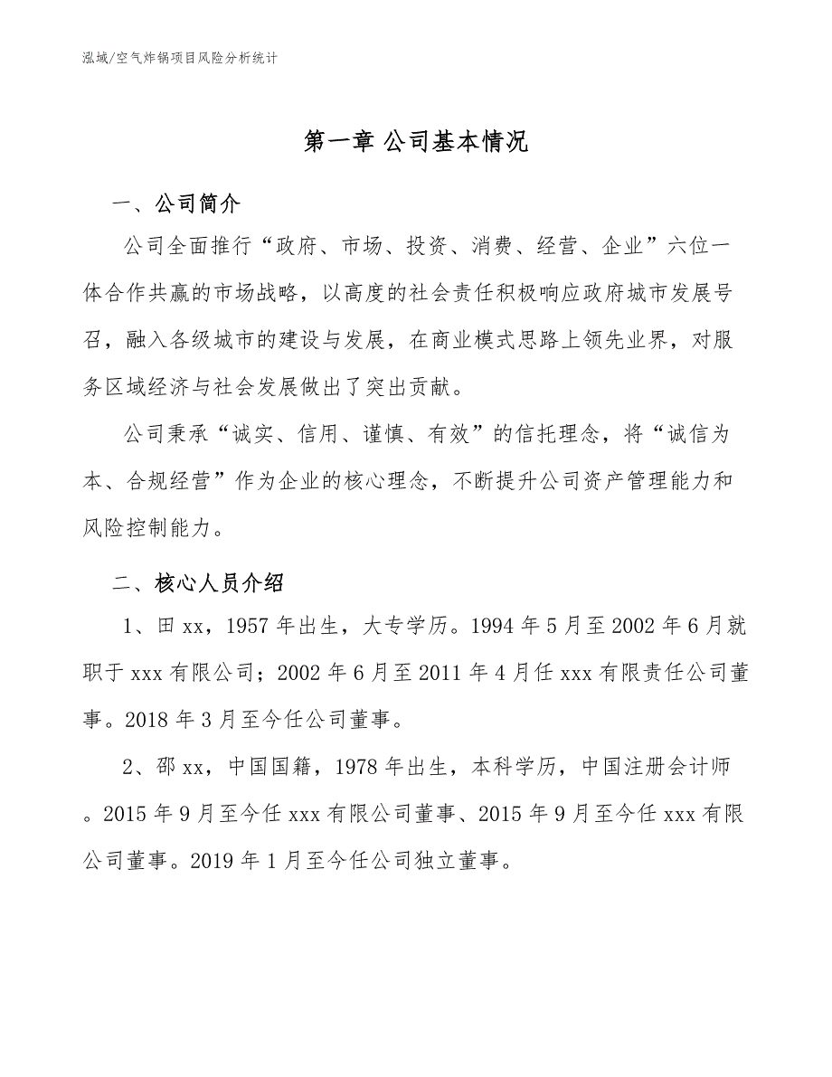 空气炸锅项目风险分析统计（参考）_第4页