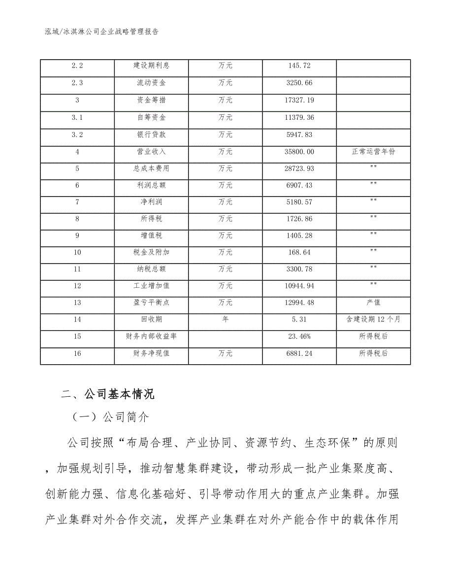 冰淇淋公司企业战略管理报告_第5页