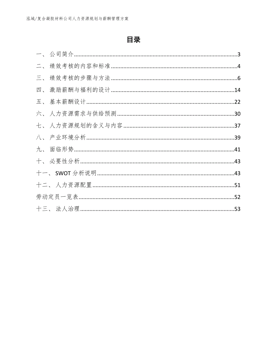 复合凝胶材料公司人力资源规划与薪酬管理方案（参考）_第2页