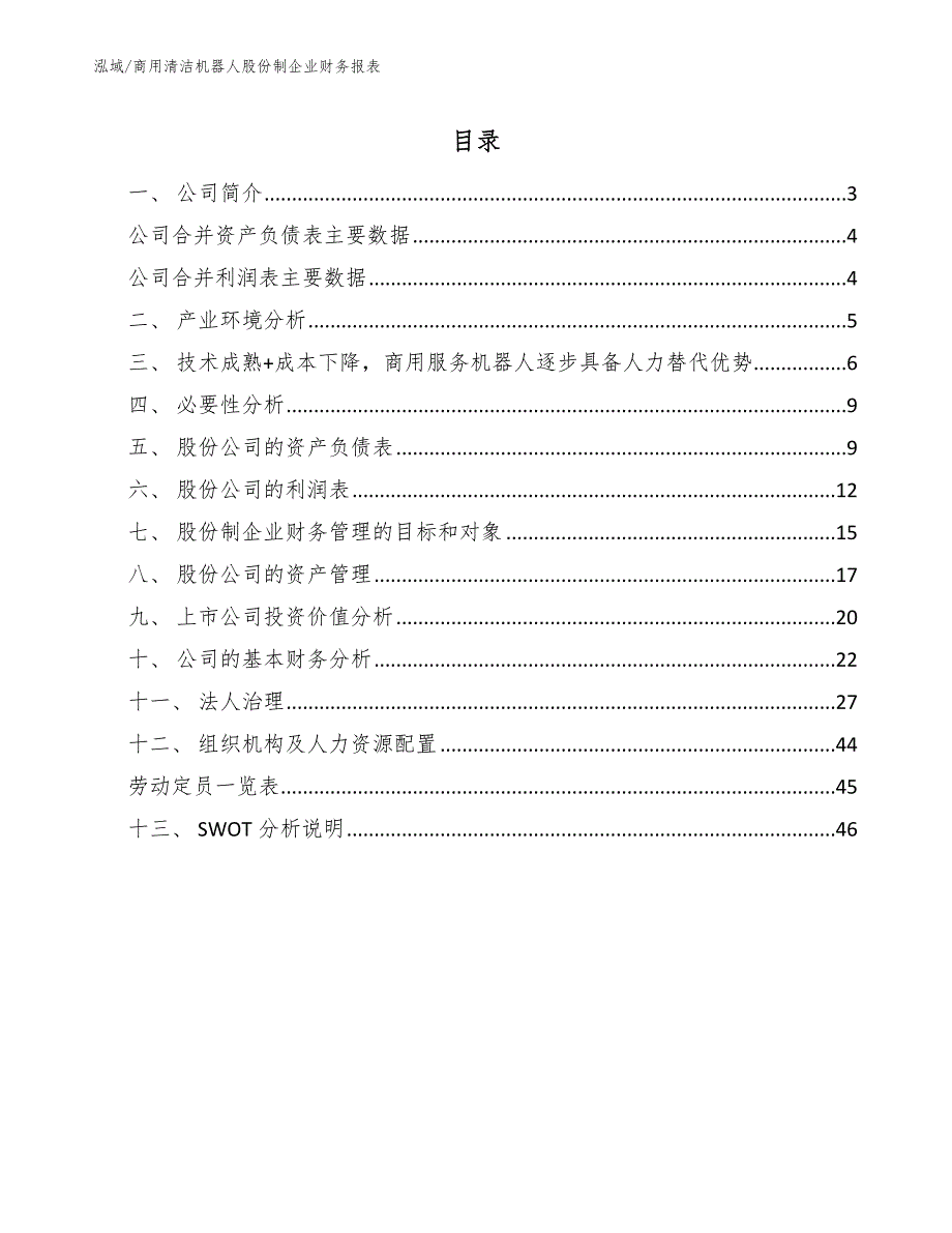 商用清洁机器人股份制企业财务报表_第2页