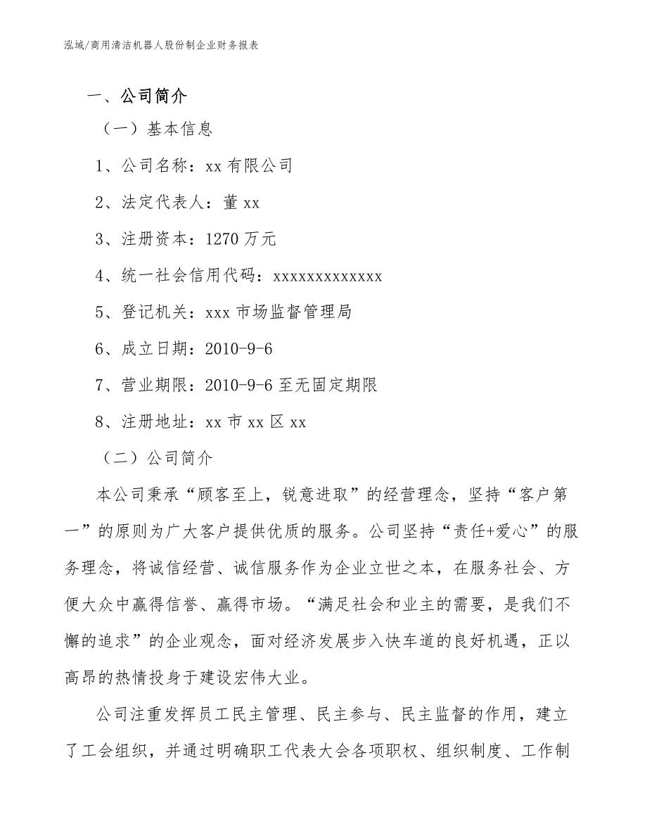 商用清洁机器人股份制企业财务报表_第3页