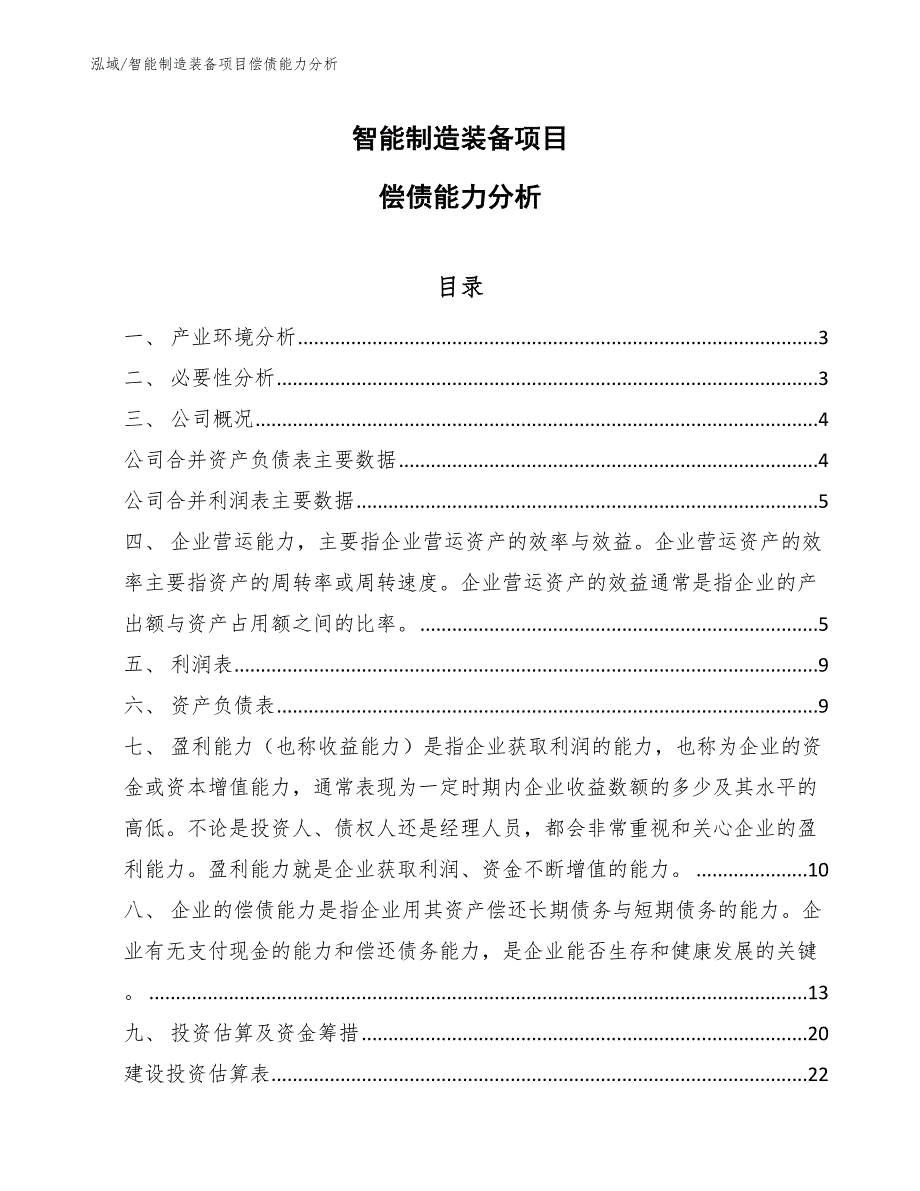 智能制造装备项目偿债能力分析_第1页
