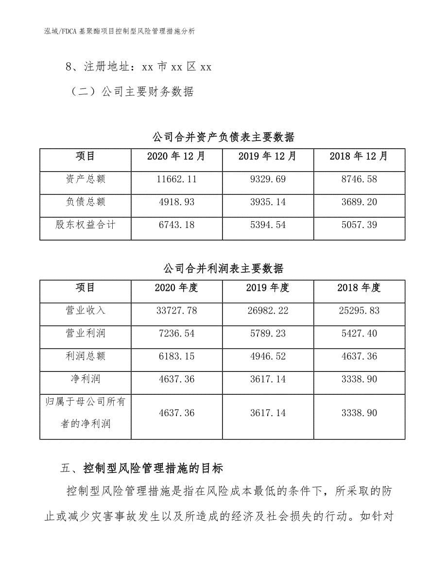 FDCA基聚酯项目控制型风险管理措施分析（参考）_第5页