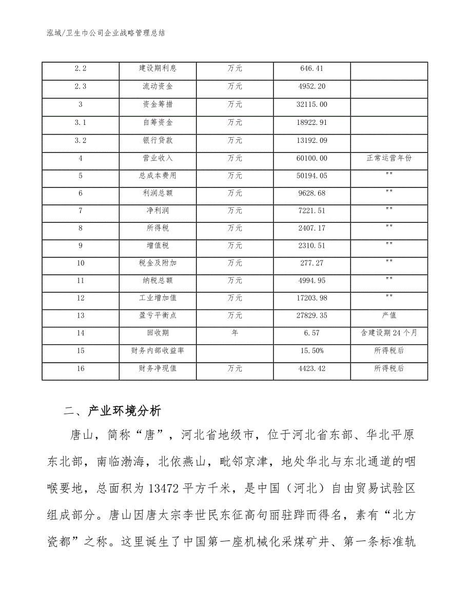 卫生巾公司企业战略管理总结_参考_第5页