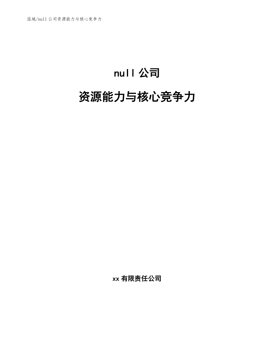 null公司资源能力与核心竞争力_第1页