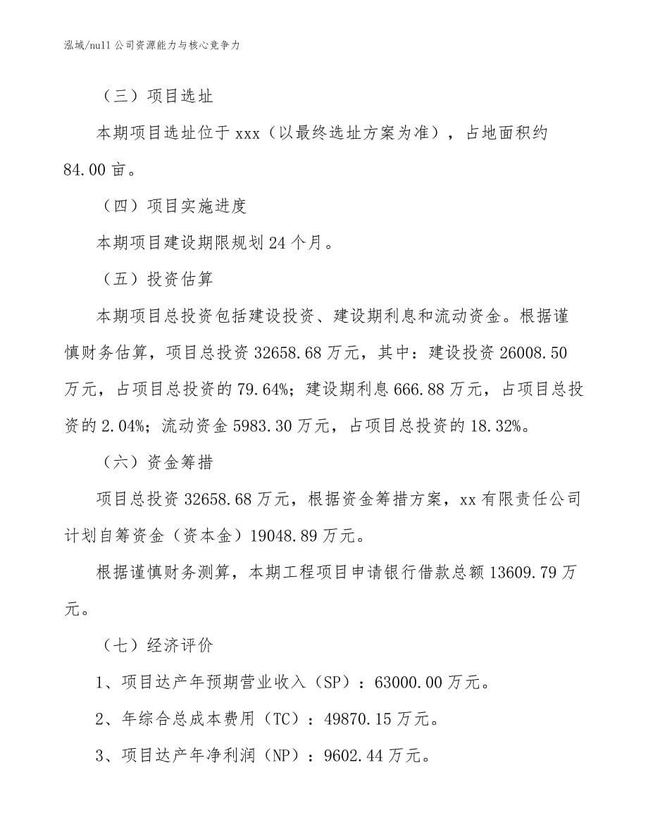 null公司资源能力与核心竞争力_第5页