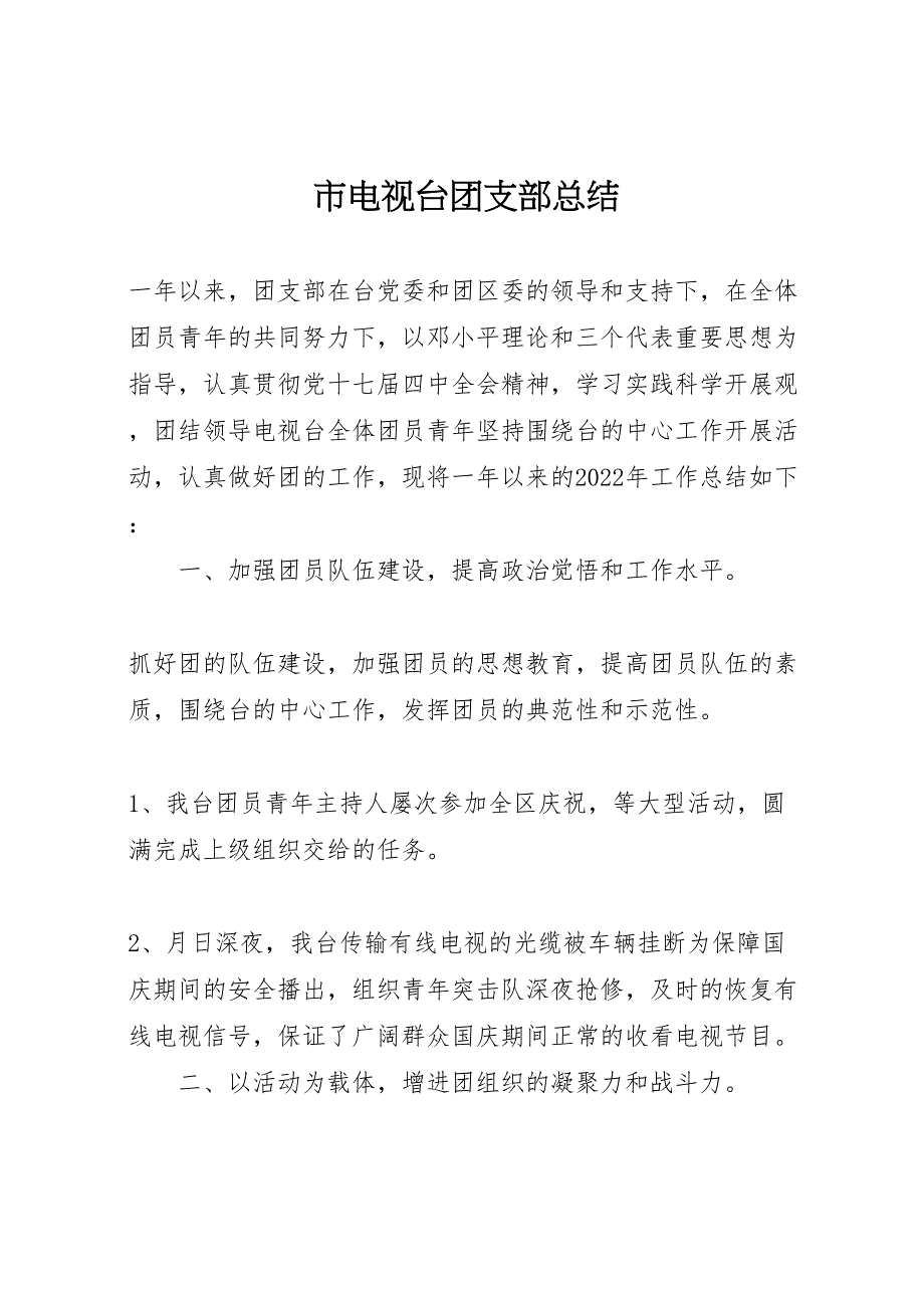 2022年市电视台团支部汇报总结_第1页