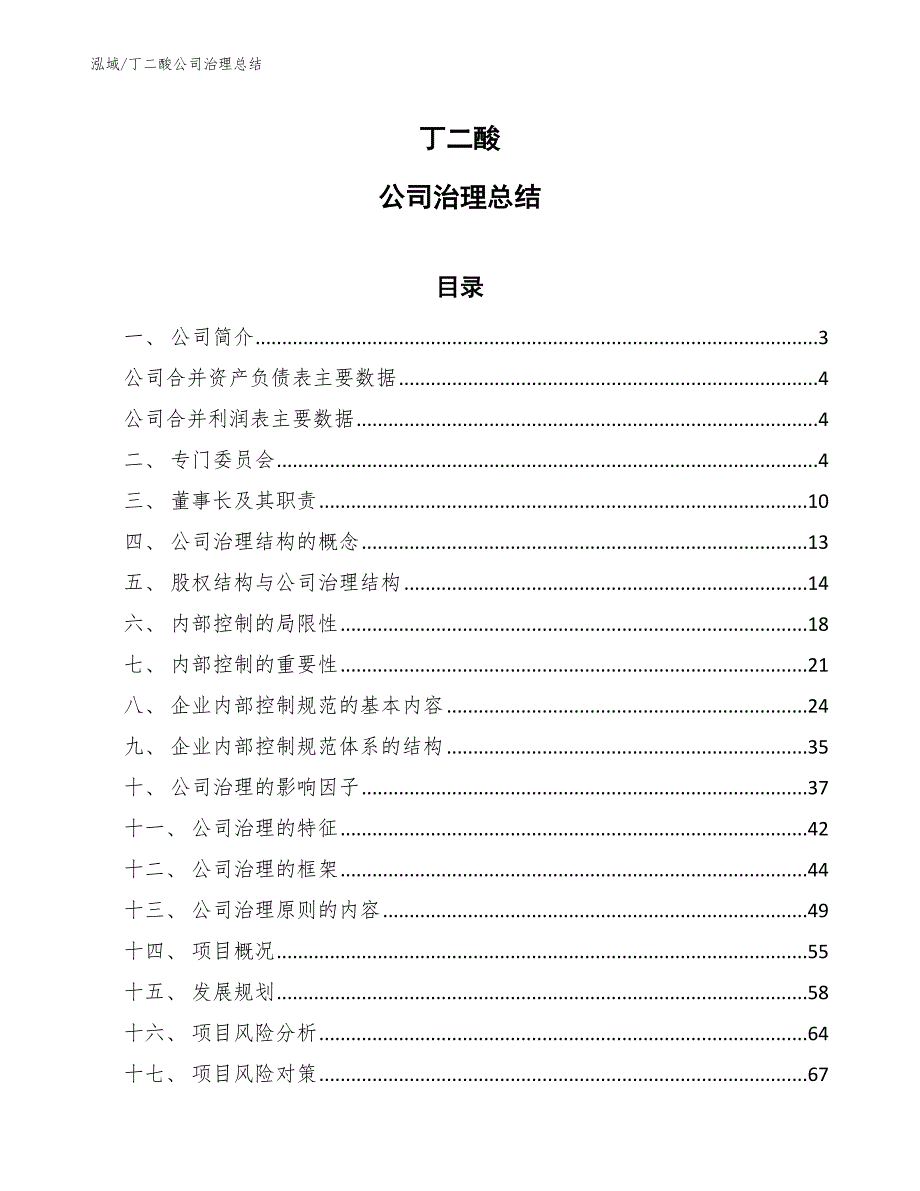 丁二酸公司治理总结_范文_第1页