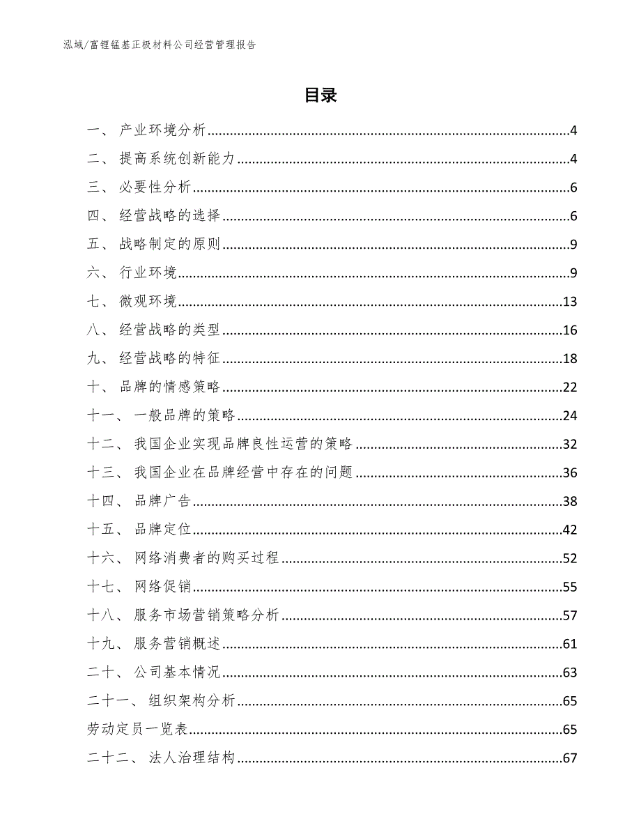 富锂锰基正极材料公司经营管理报告_参考_第2页