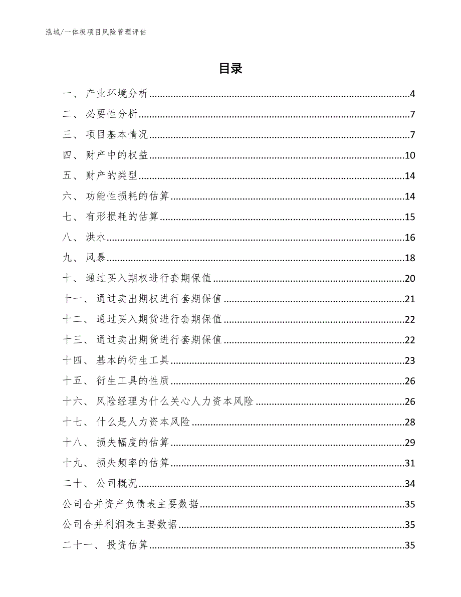 一体板项目风险管理评估【范文】_第2页