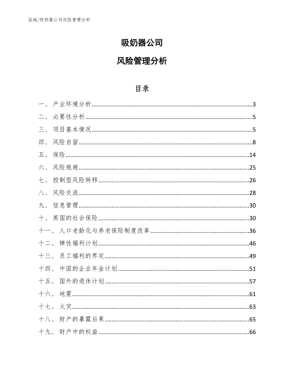 吸奶器公司风险管理分析_参考_第1页