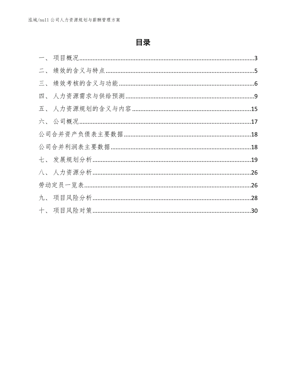 null公司人力资源规划与薪酬管理方案_第2页