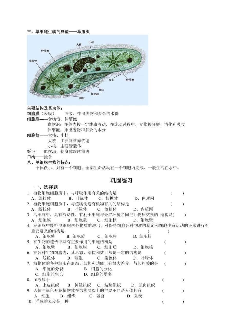 中考生物复习材料_第5页