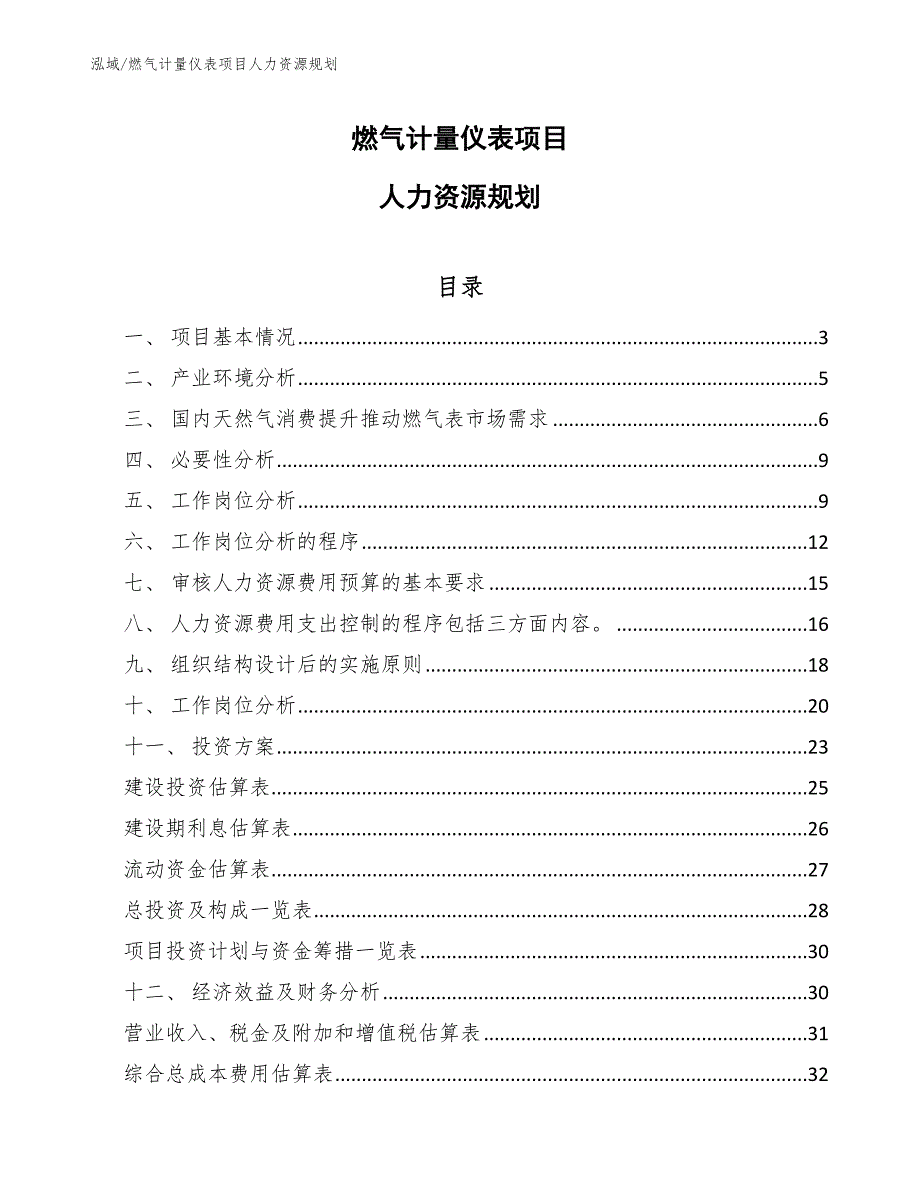 燃气计量仪表项目人力资源规划（范文）_第1页