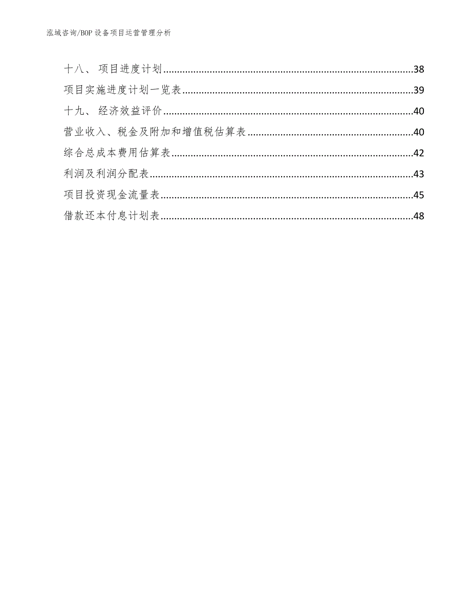 BOP设备项目运营管理分析_第2页