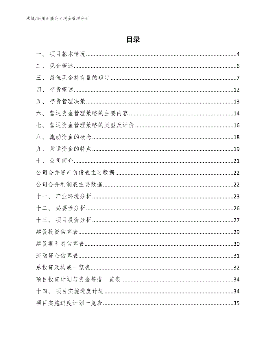 医用面膜公司现金管理分析_第2页