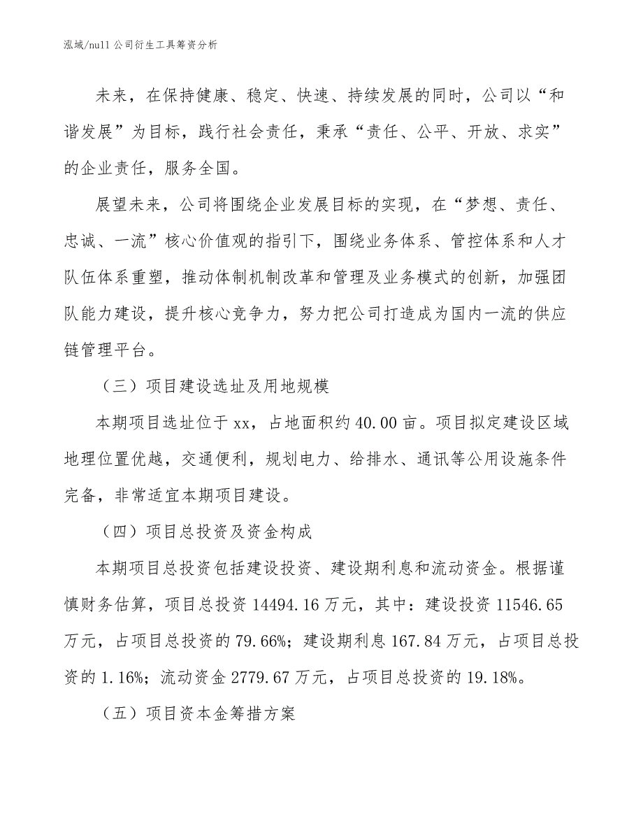 null公司衍生工具筹资分析_第4页