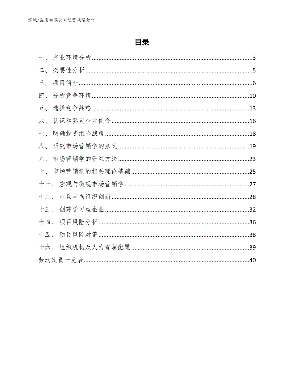 医用面膜公司经营战略分析_第2页