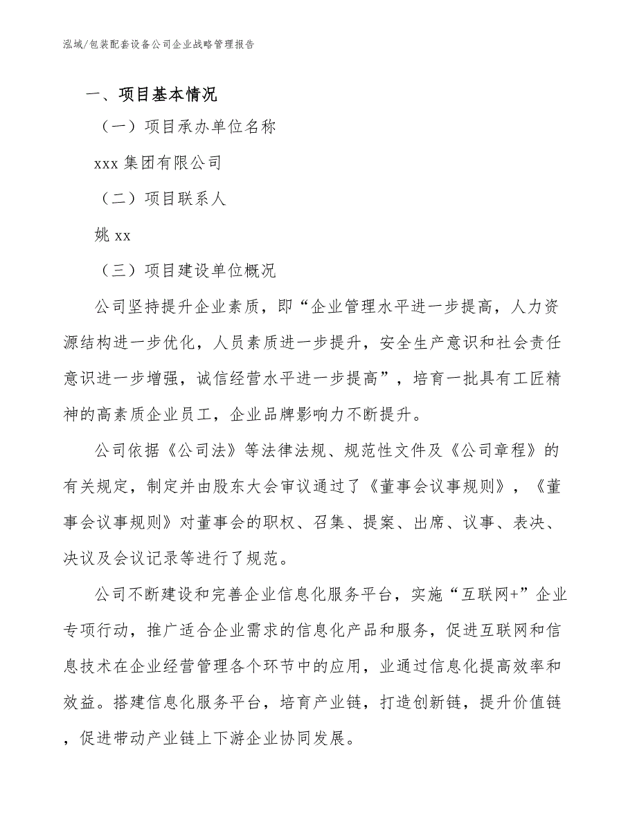 包装配套设备公司企业战略管理报告（参考）_第3页